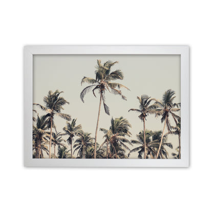 Palm Trees on the beach Photography Print by Victoria Frost White Grain