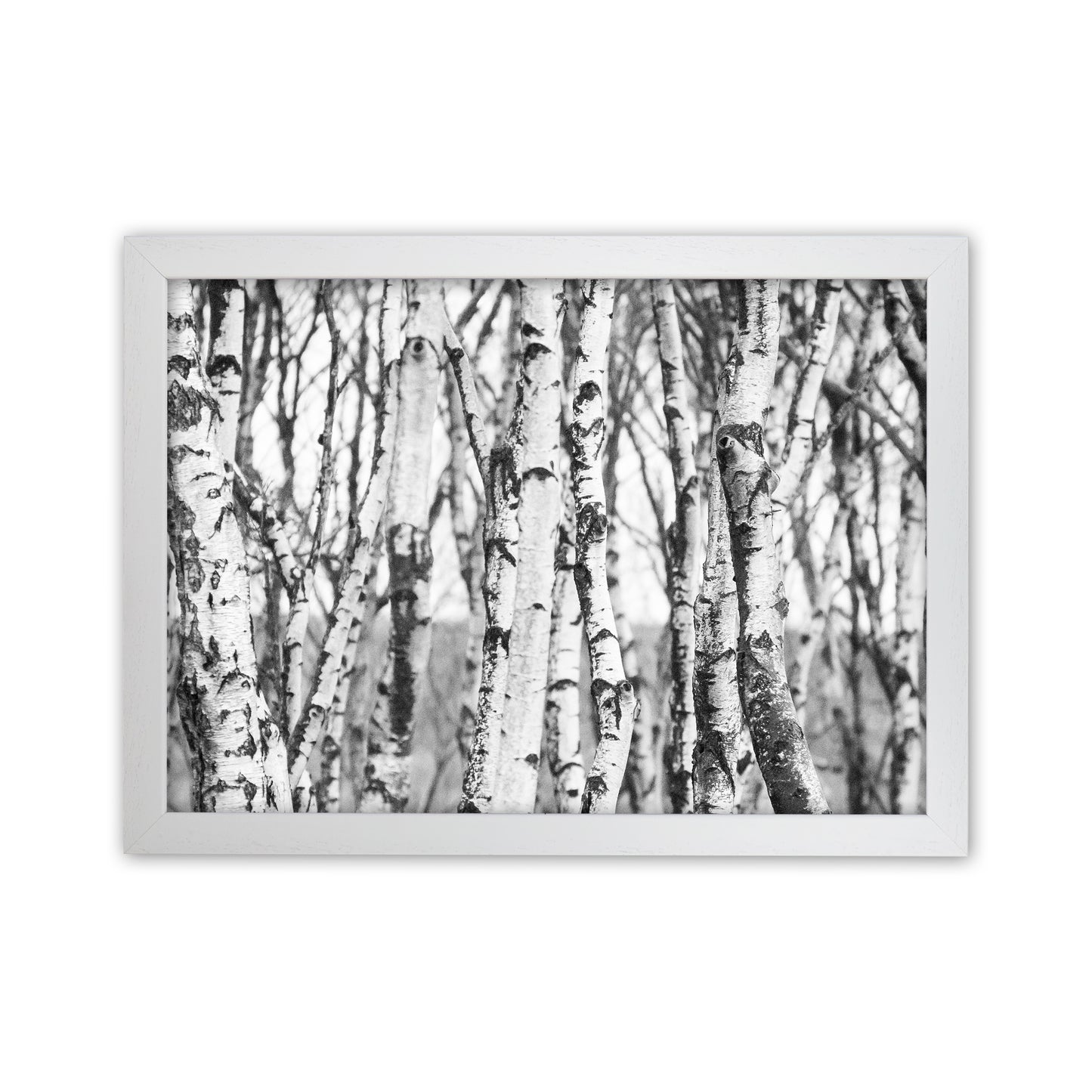 Off the beaten path Photography Print by Victoria Frost White Grain