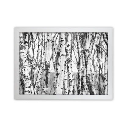 Off the beaten path Photography Print by Victoria Frost White Grain