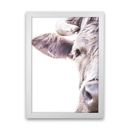 Highlander II Photography Print by Victoria Frost White Grain