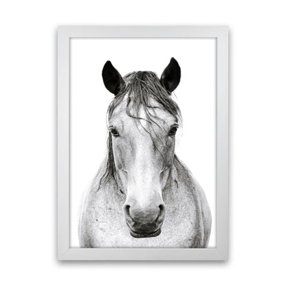 Horse I Photography Print by Victoria Frost White Grain