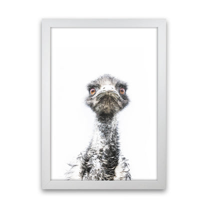 E.M.U Photography Print by Victoria Frost White Grain