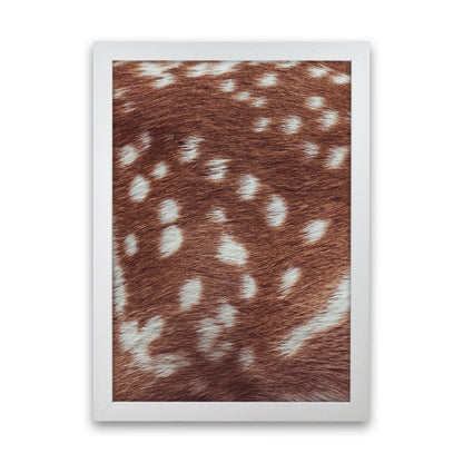 Deer skin Photography Print by Victoria Frost White Grain