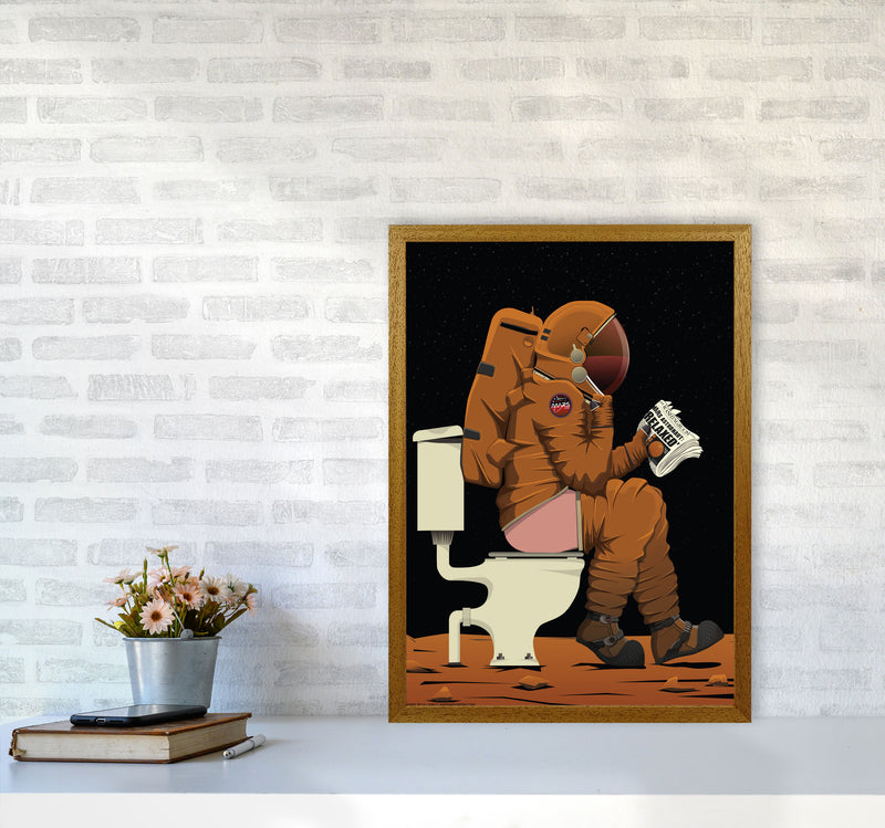 Mars on Loo by Wyatt9 A2 Print Only