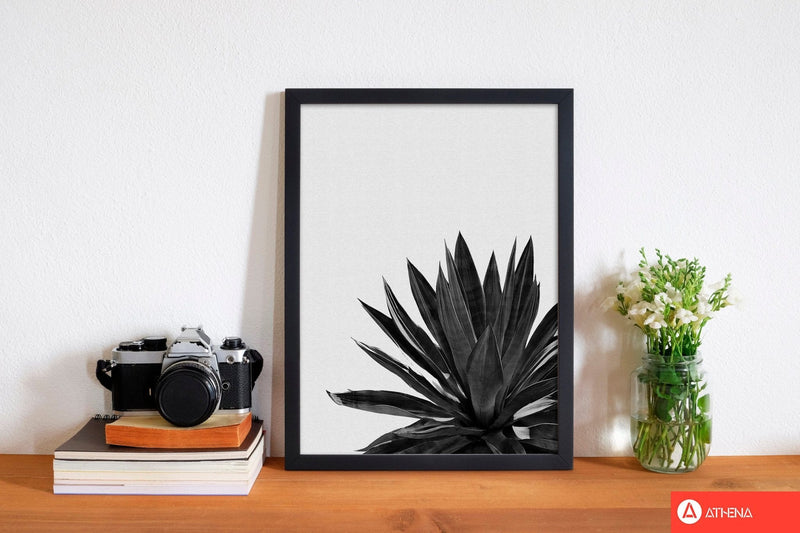 Agave cactus black and white fine art print by orara studio, framed botanical &