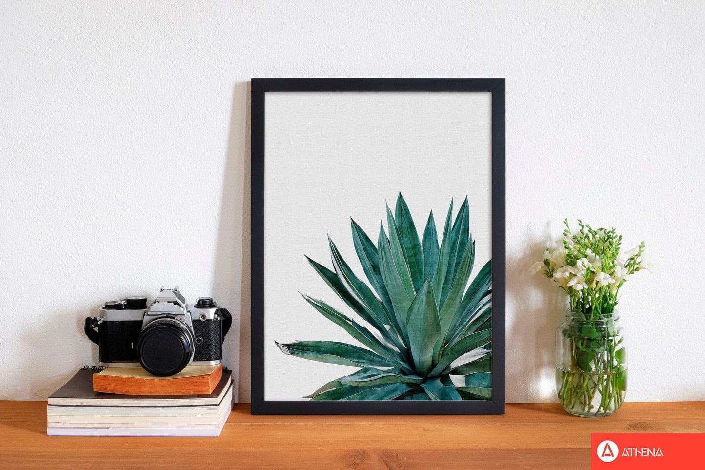 Agave cactus fine art print by orara studio, framed botanical &#038; nature art print