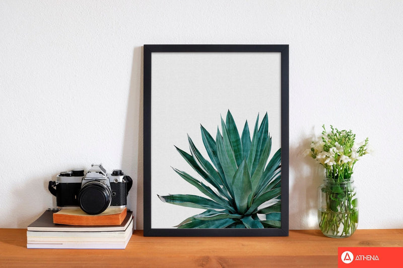 Agave cactus fine art print by orara studio, framed botanical &