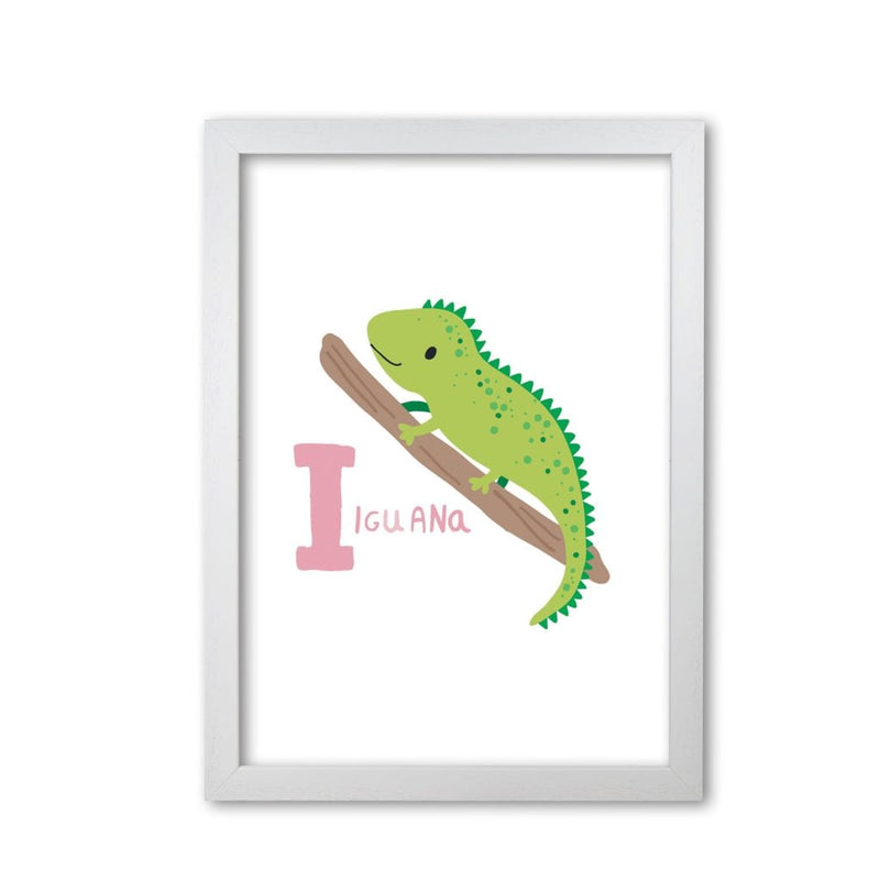 Alphabet animals, i is for iguana modern fine art print, framed childrens nursey wall art poster