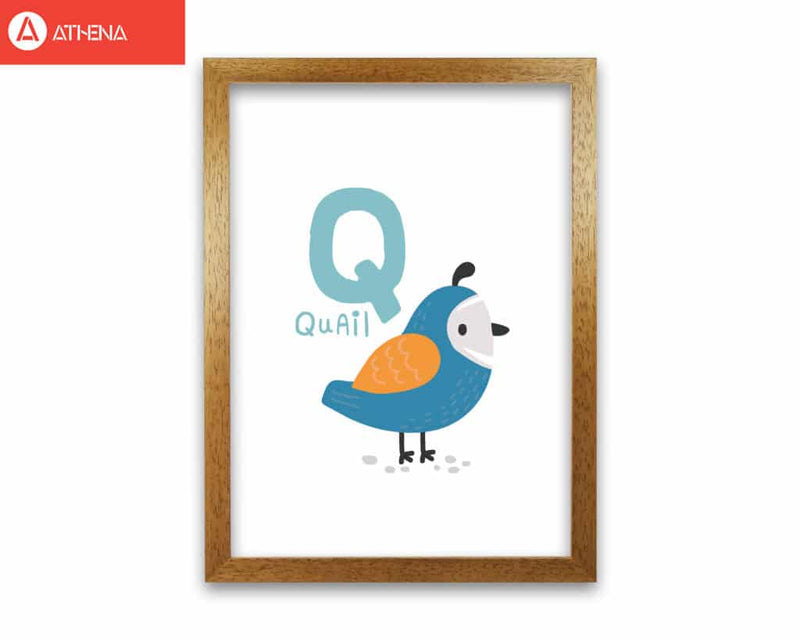 Alphabet animals, q is for quail modern fine art print, framed childrens nursey wall art poster