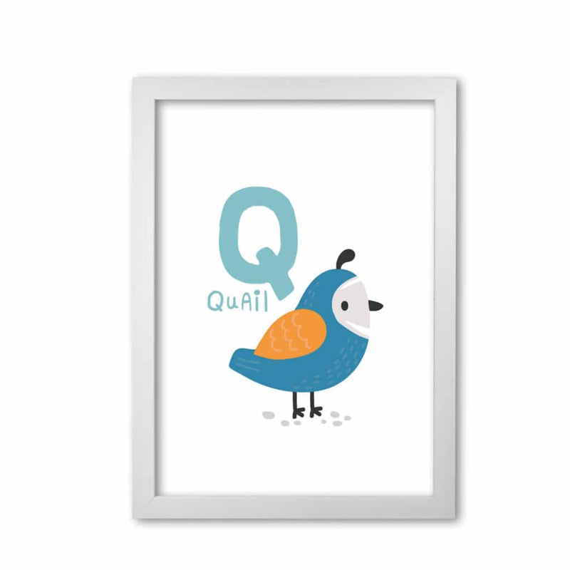Alphabet animals, q is for quail modern fine art print, framed childrens nursey wall art poster