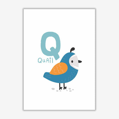 Alphabet animals, q is for quail modern fine art print, framed childrens nursey wall art poster