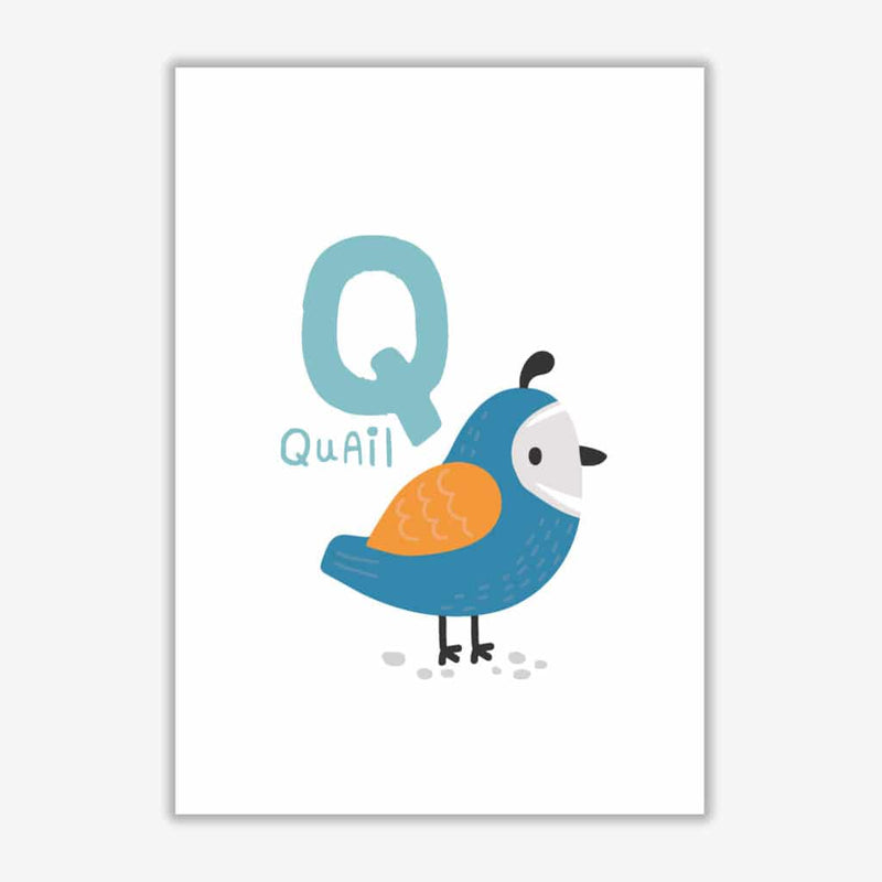 Alphabet animals, q is for quail modern fine art print, framed childrens nursey wall art poster