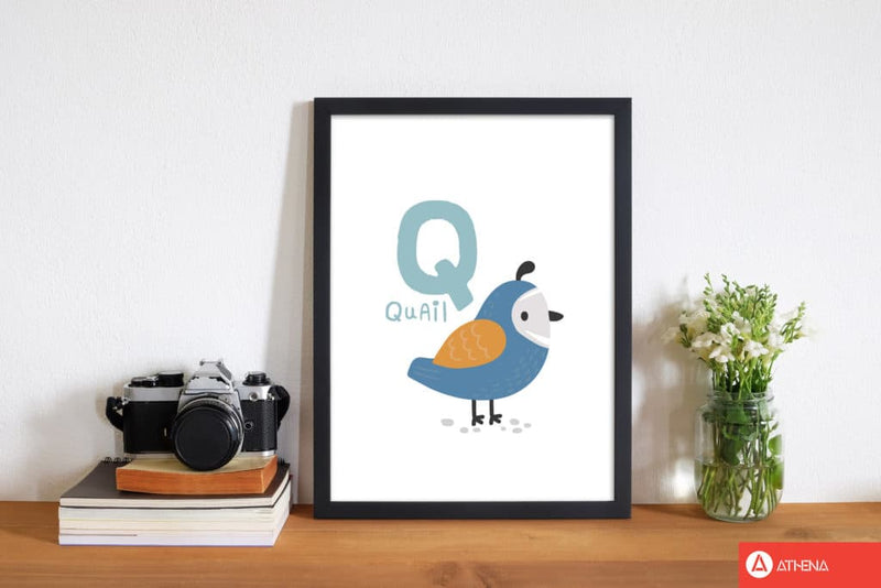 Alphabet animals, q is for quail modern fine art print, framed childrens nursey wall art poster