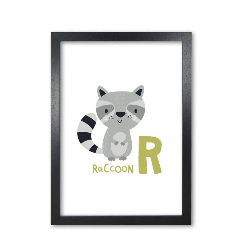 Alphabet animals, r is for raccoon modern fine art print, framed childrens nursey wall art poster