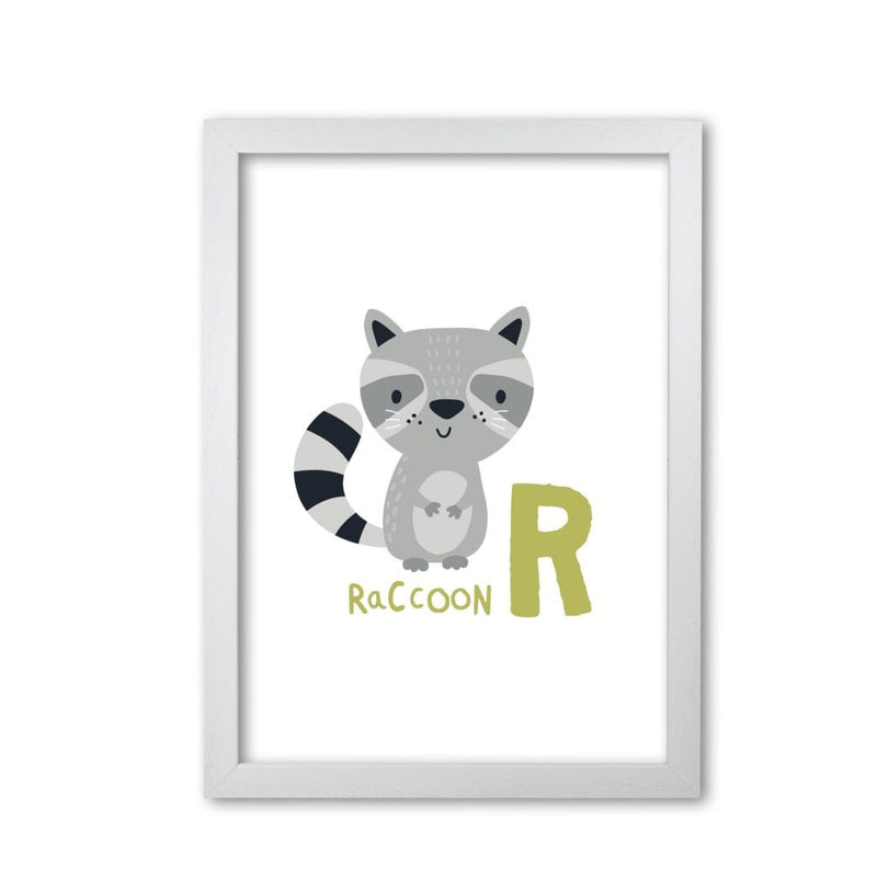 Alphabet animals, r is for raccoon modern fine art print, framed childrens nursey wall art poster
