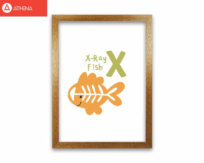 Alphabet animals, x is for x-ray fish modern fine art print, framed childrens nursey wall art poster