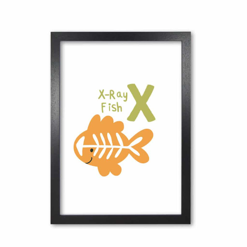 Alphabet animals, x is for x-ray fish modern fine art print, framed childrens nursey wall art poster