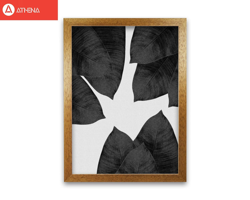 Banana leaf black &