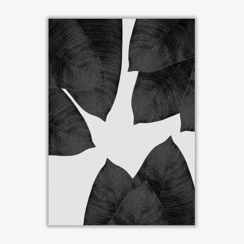 Banana leaf black &