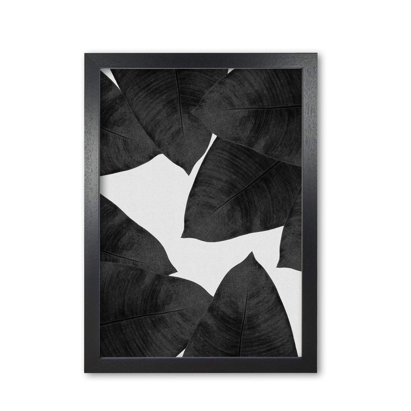 Banana leaf black &