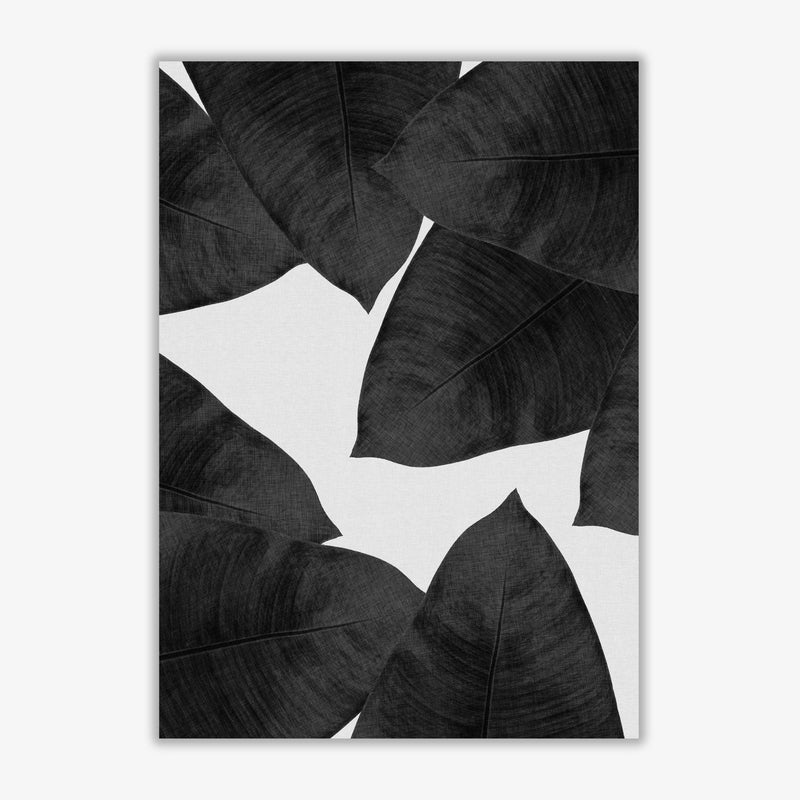Banana leaf black &