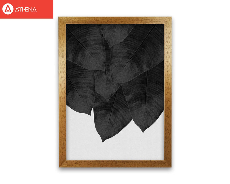 Banana leaf black &