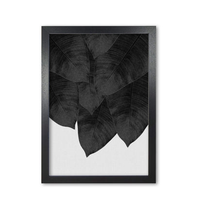 Banana leaf black &#038; white iii fine art print by orara studio