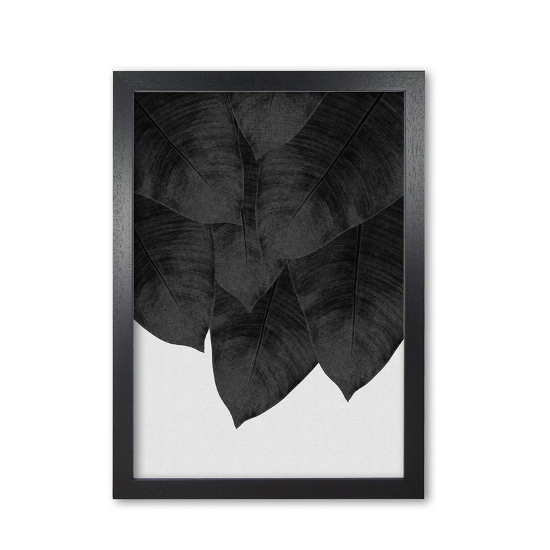 Banana leaf black &