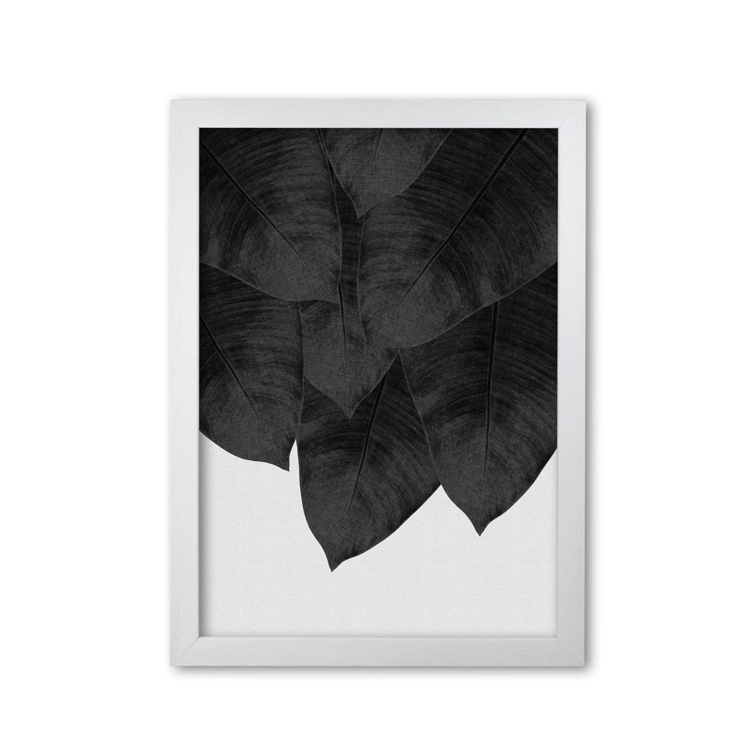 Banana leaf black &#038; white iii fine art print by orara studio