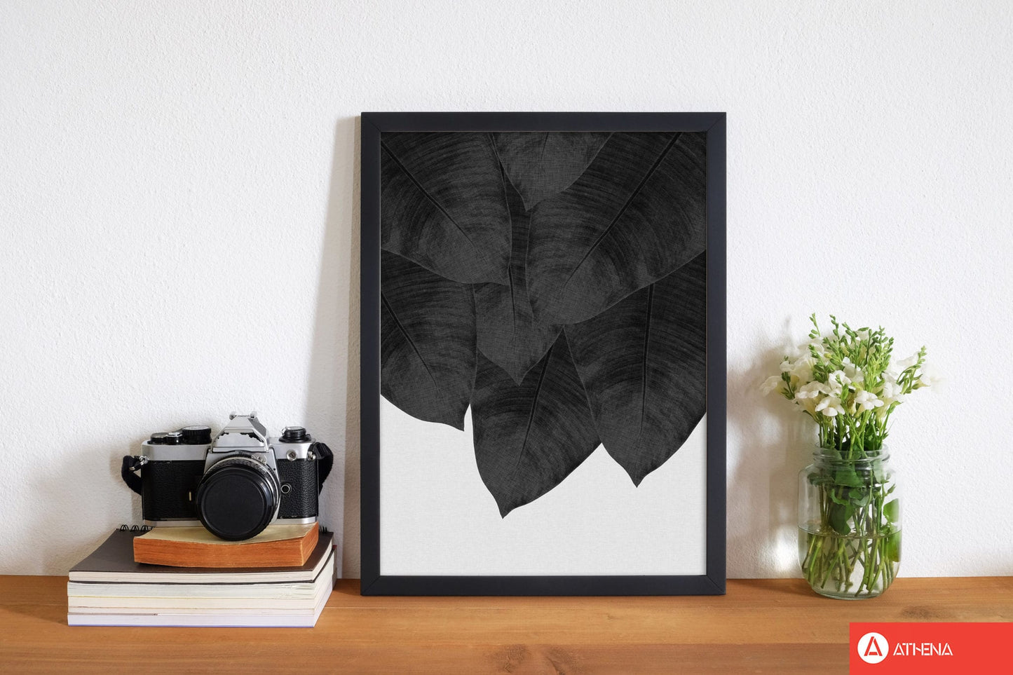 Banana leaf black &#038; white iii fine art print by orara studio