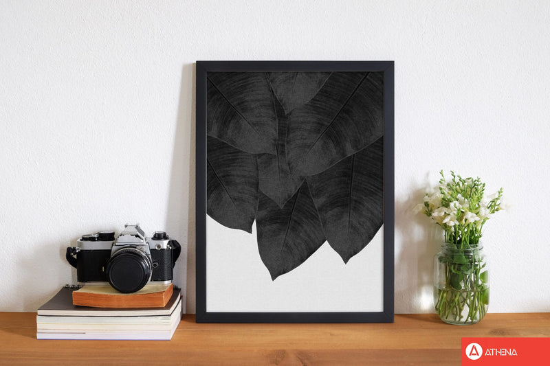 Banana leaf black &
