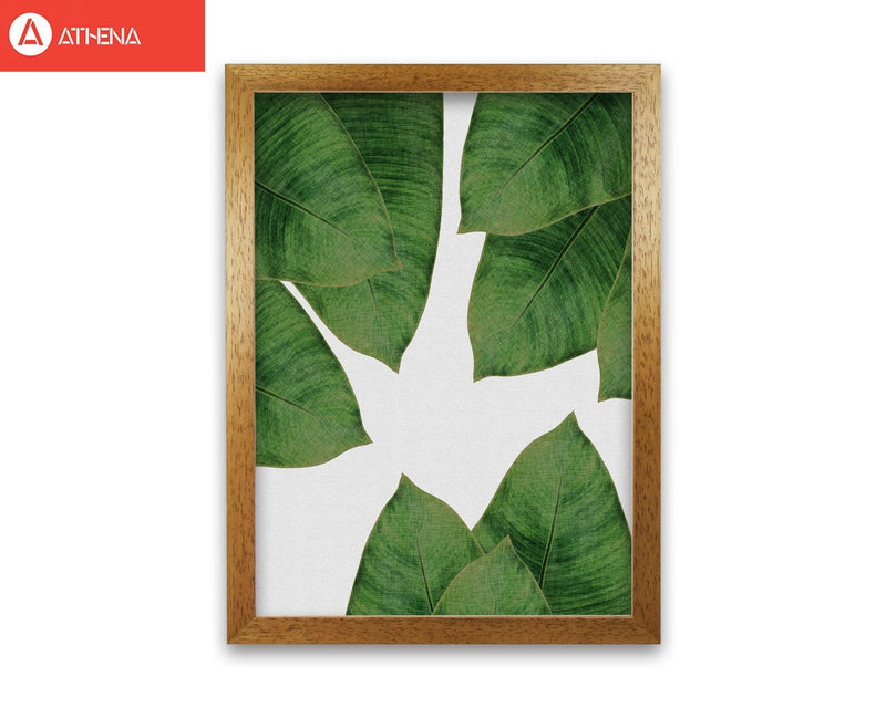 Banana leaf i fine art print by orara studio, framed botanical &