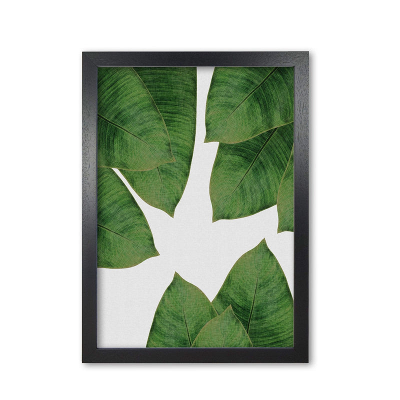 Banana leaf i fine art print by orara studio, framed botanical &