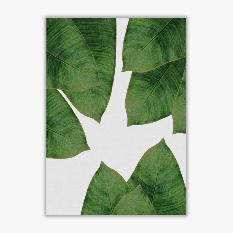 Banana leaf i fine art print by orara studio, framed botanical &
