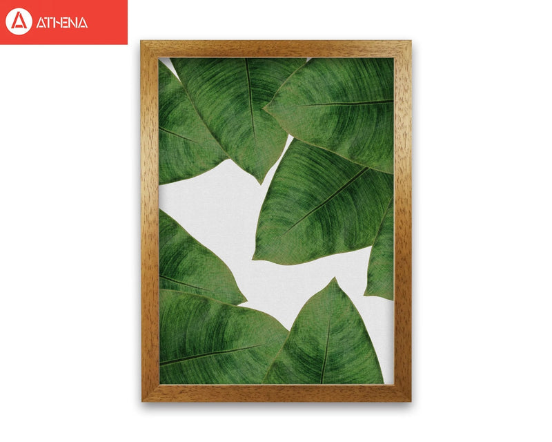 Banana leaf ii fine art print by orara studio, framed botanical &