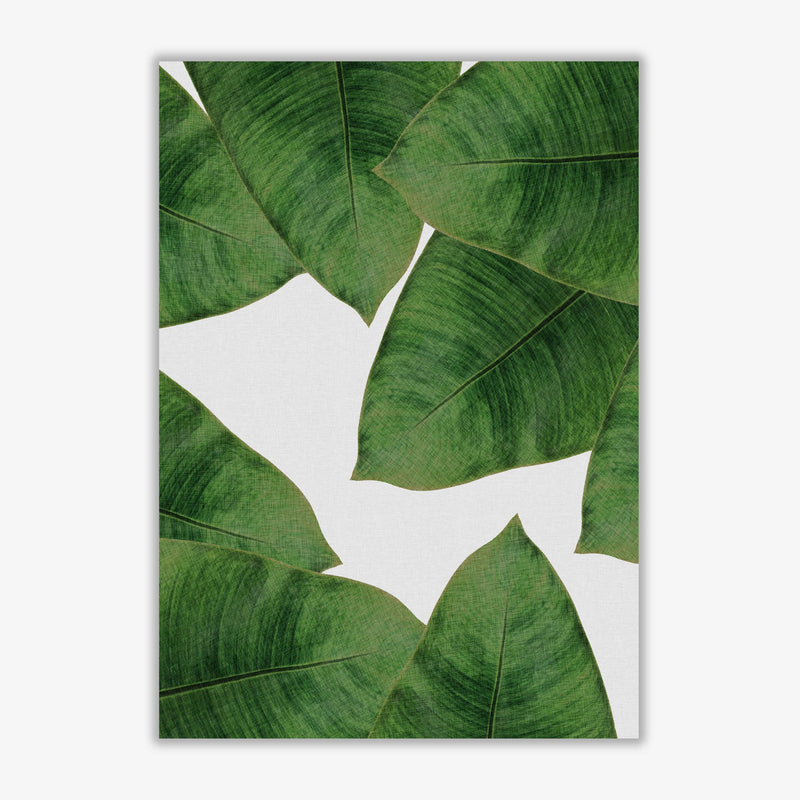 Banana leaf ii fine art print by orara studio, framed botanical &