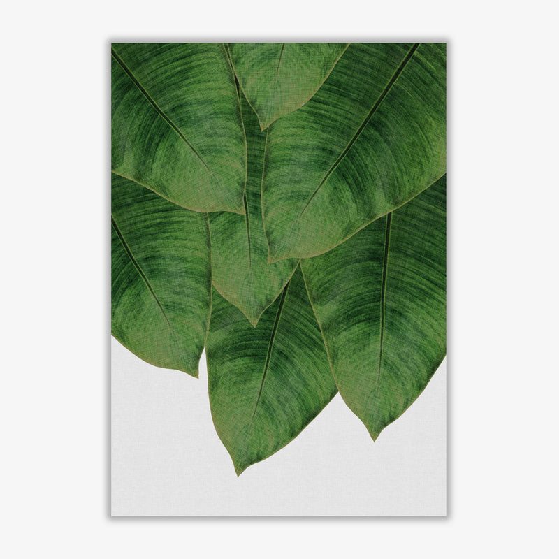Banana leaf iii fine art print by orara studio, framed botanical &