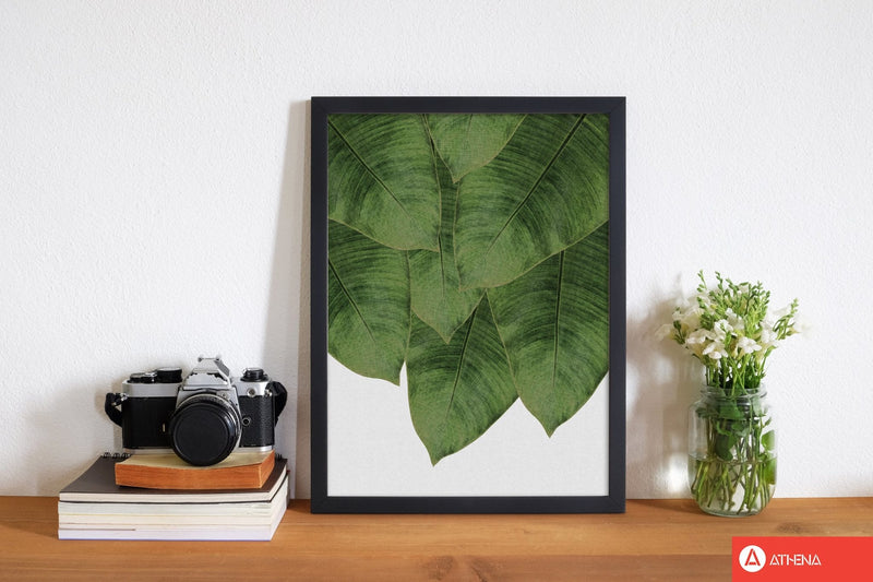 Banana leaf iii fine art print by orara studio, framed botanical &