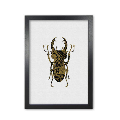 Black and gold beetle ii fine art print by orara studio