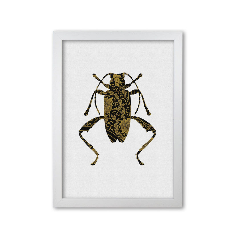 Black and gold beetle iii fine art print by orara studio