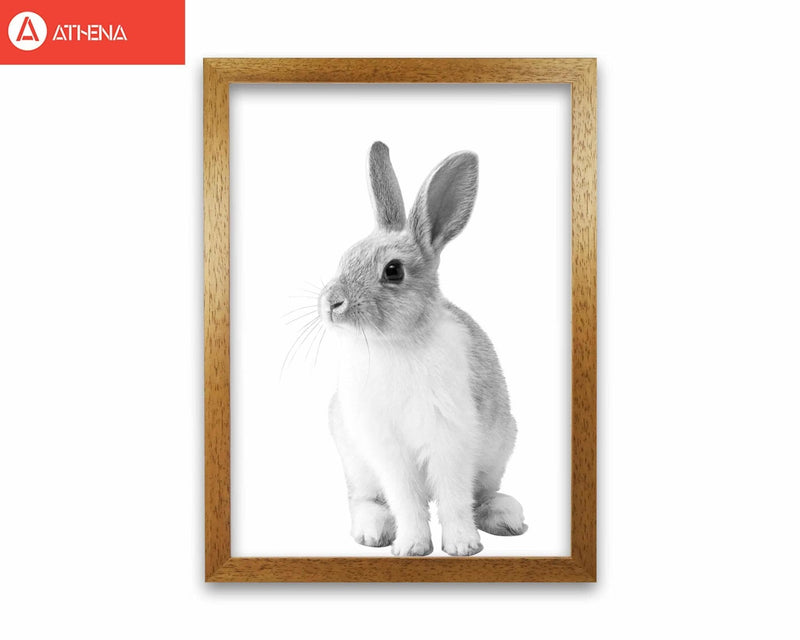 Black and white bunny modern fine art print
