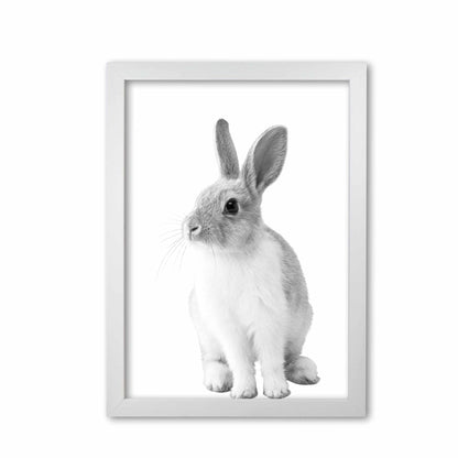 Black and white bunny modern fine art print