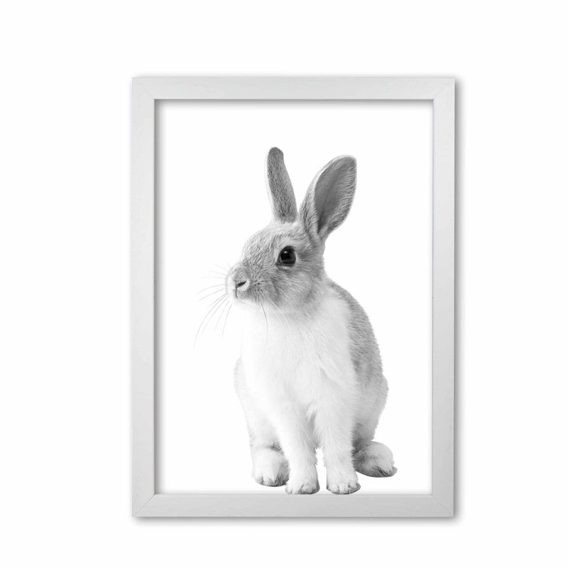 Black and white bunny modern fine art print