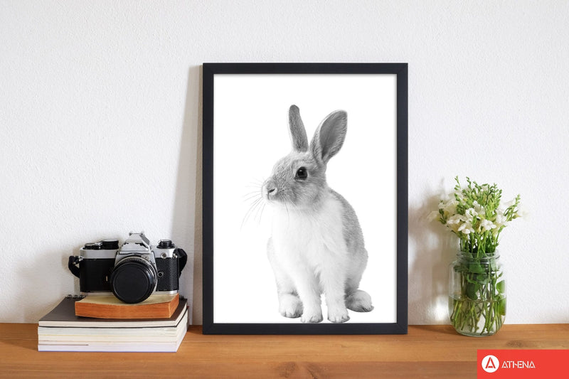 Black and white bunny modern fine art print