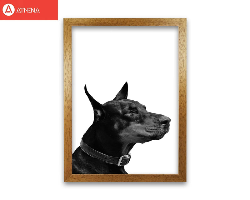 Black and white dog modern fine art print
