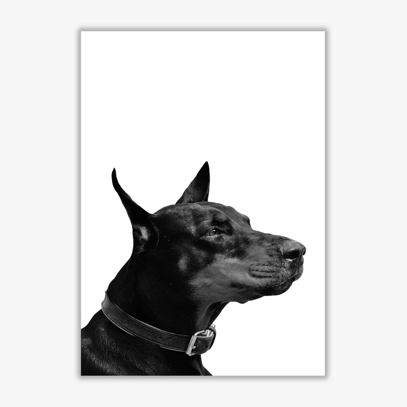 Black and white dog modern fine art print