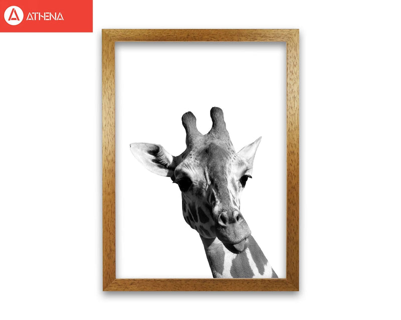 Black and white giraffe modern fine art print