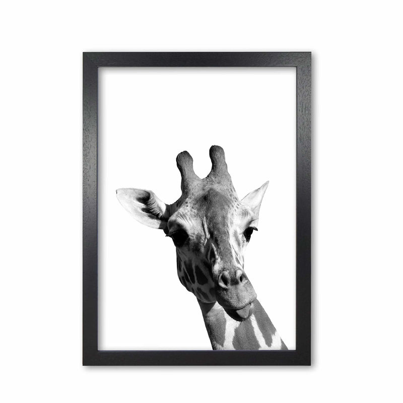 Black and white giraffe modern fine art print