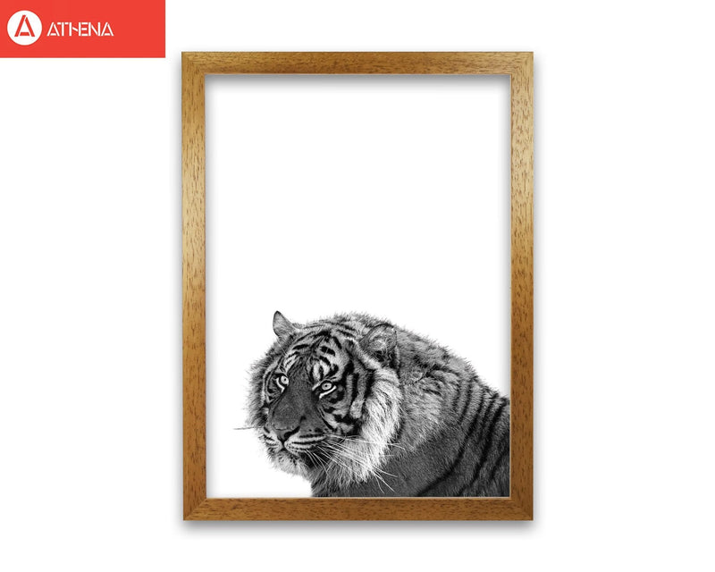 Black and white tiger modern fine art print