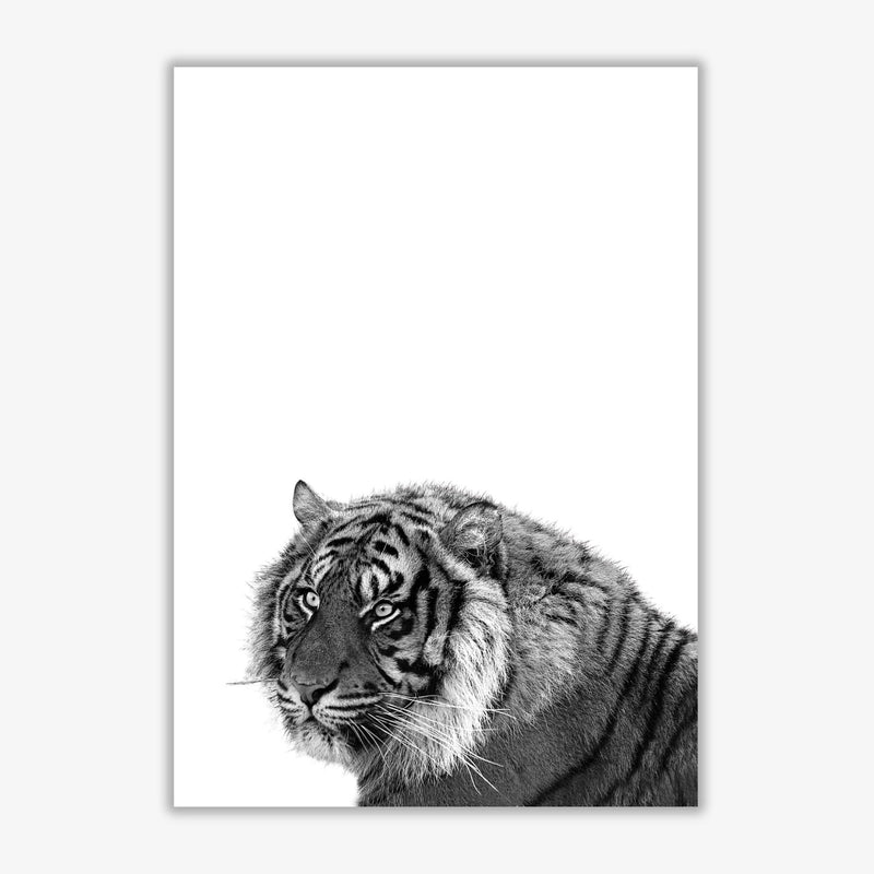 Black and white tiger modern fine art print
